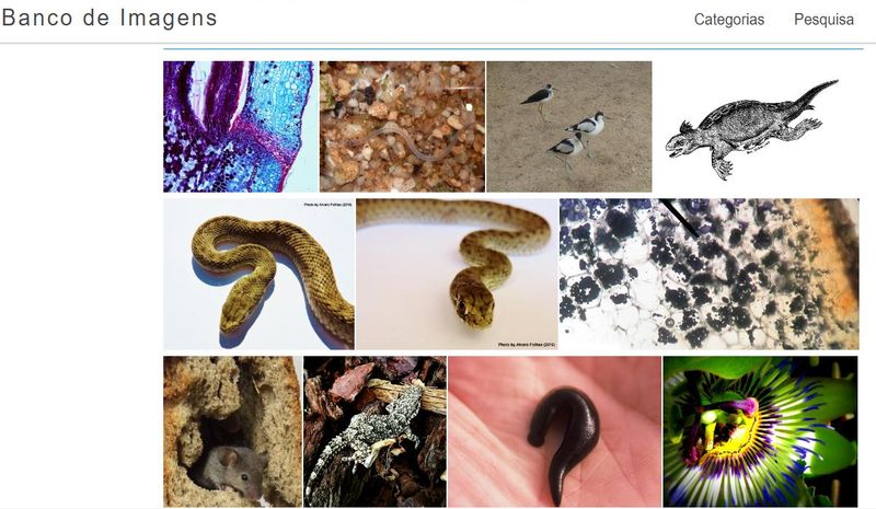 Imágenes gratuitas sobre Ciencias para descargar y usar en tus trabajos