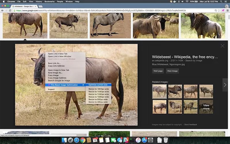 Tiny Beest Image Optimization: plugin Chrome para optimizar imágenes