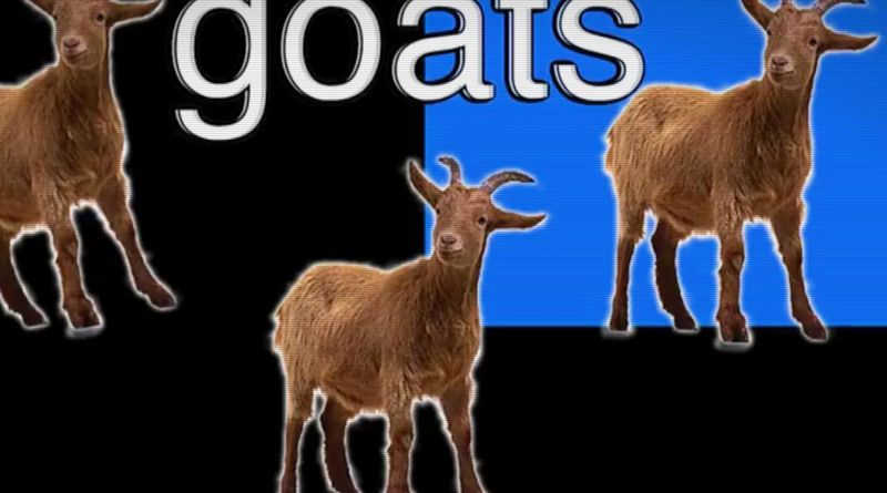 5 aplicaciones web raras, curiosas y absurdas, no pensarías que existían