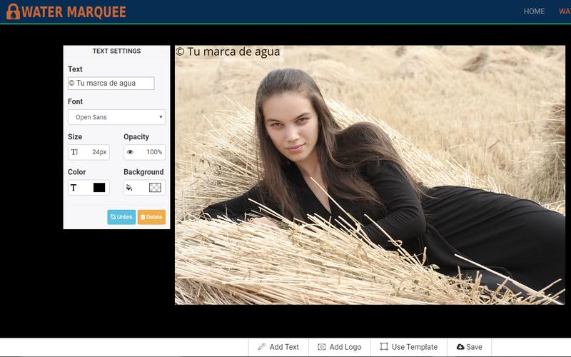 Water Marquee: web gratuita para añadir marcas de agua a tus imágenes