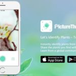 PictureThis: app móvil que reconoce plantas a partir de una foto