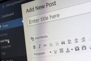 Mejor CMS para Blogs es WordPress