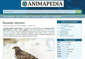 Un-artículo-de-Animapedia