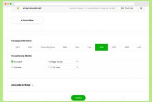 Convertidor de audio gratuito y online