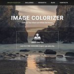 Image Colorizer