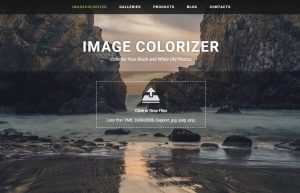 Image Colorizer
