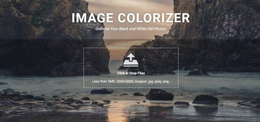 Image Colorizer