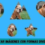 Recortar imágenes con formas con Rounder