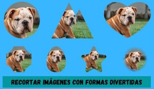 Recortar imágenes con formas con Rounder