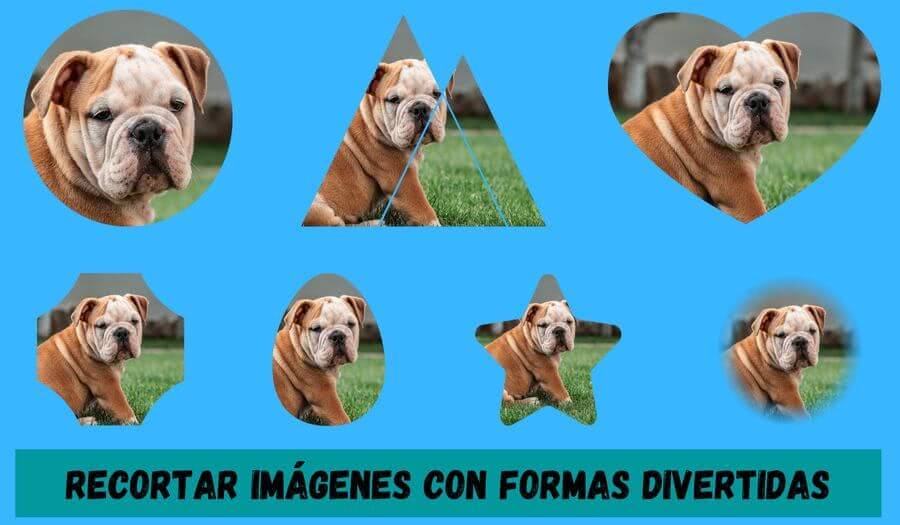 Recortar imágenes con formas con Rounder