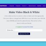Convertir vídeos a Blanco y Negro online