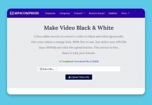 Convertir vídeos a Blanco y Negro online