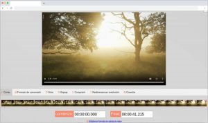 Cortador y convertidor de vídeo online