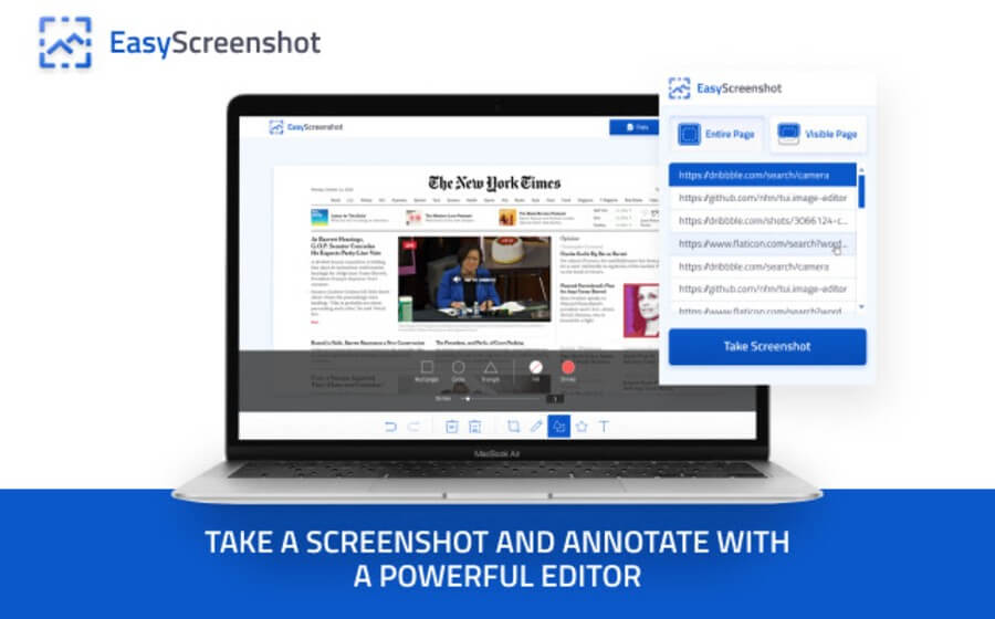 Easy Screenshot para Chrome