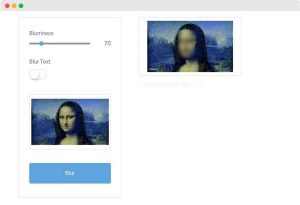 Face Blurrer