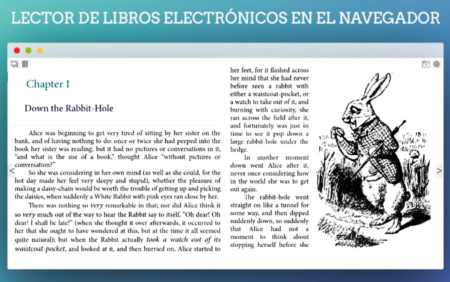 Lector de libros electrónicos online