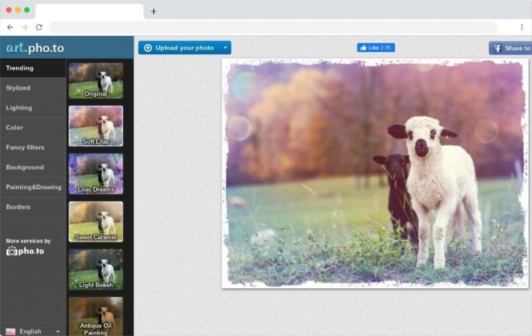 Hermosos filtros para fotos para aplicar gratis y online con un simple clic