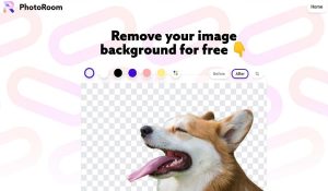 PhotoRoom Background Remover