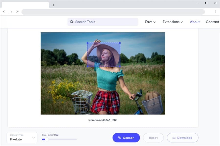 Online Photo Censor