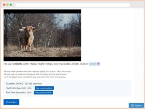 Cortador de vídeos online y gratuito