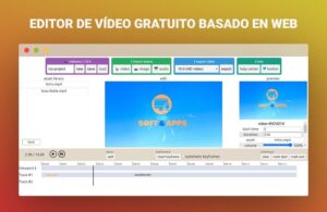 Videoinu