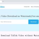 Descargar vídeos de TikTok gratis