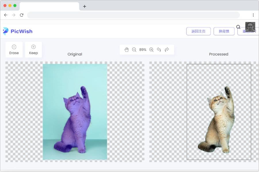 Remover fondo de fotos fácil y gratis con la herramienta de PicWish