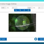 Cortar imágenes con forma circular en línea