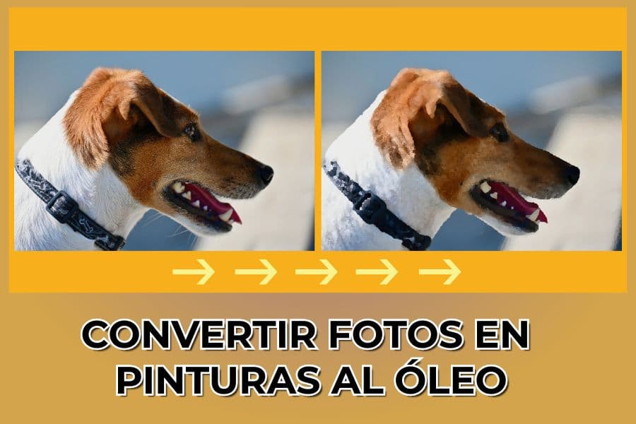 Transformar fotos en pinturas al óleo