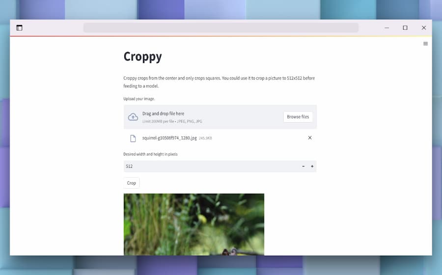 Croppy