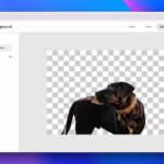 Pixelcut Background Remover