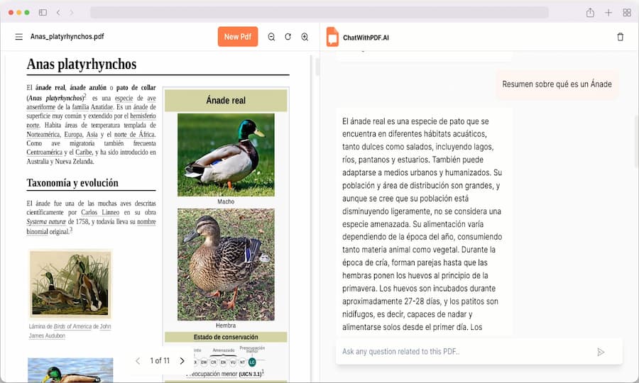 Chat with PDF