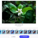 Instagram Filters