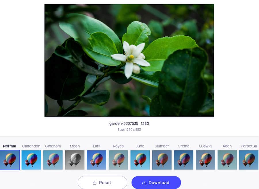Instagram Filters