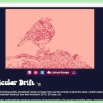 Particular Drift