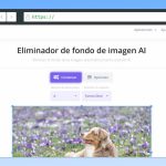 Eliminador de fondos de imágenes