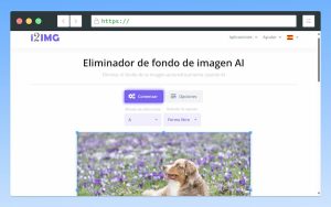 Eliminador de fondos de imágenes