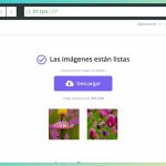 Crear variaciones de imágenes con IA