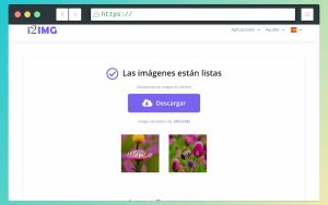 Crear variaciones de imágenes con IA