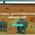 Free AI Video Background Remover
