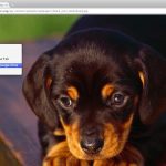 Guardar en Google Drive