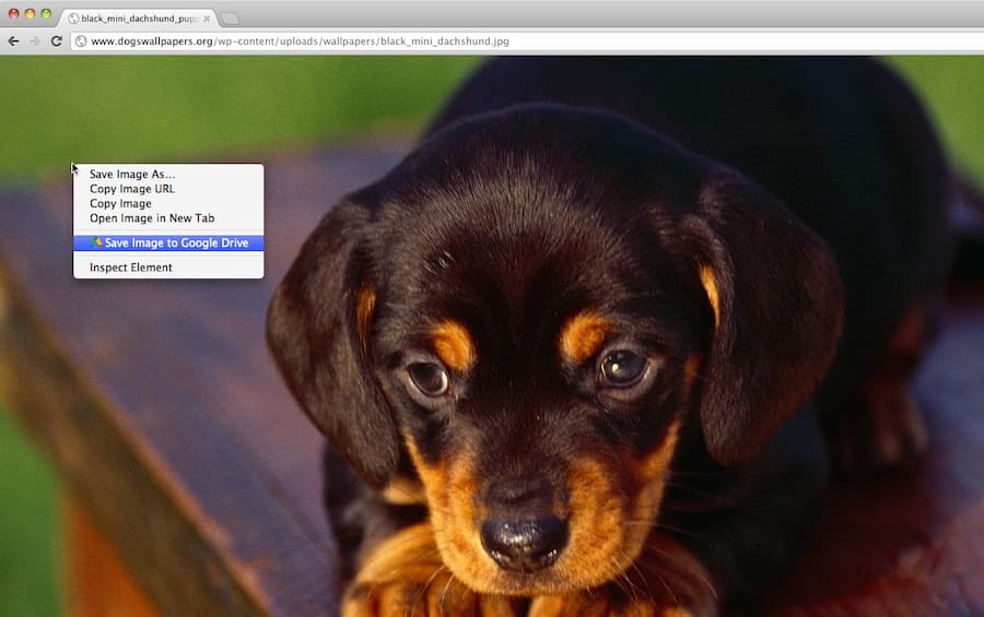 Guardar en Google Drive