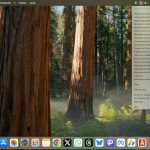 Historial del portapapeles en macOS