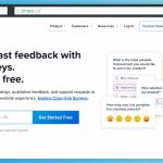 Surveys by Crazy Egg