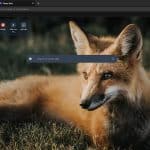 Sorry! Image not available at this time