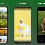 Sorry! Image not available at this time